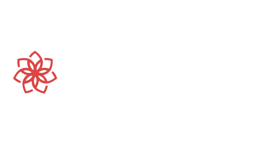 Casinochan Casino Logo